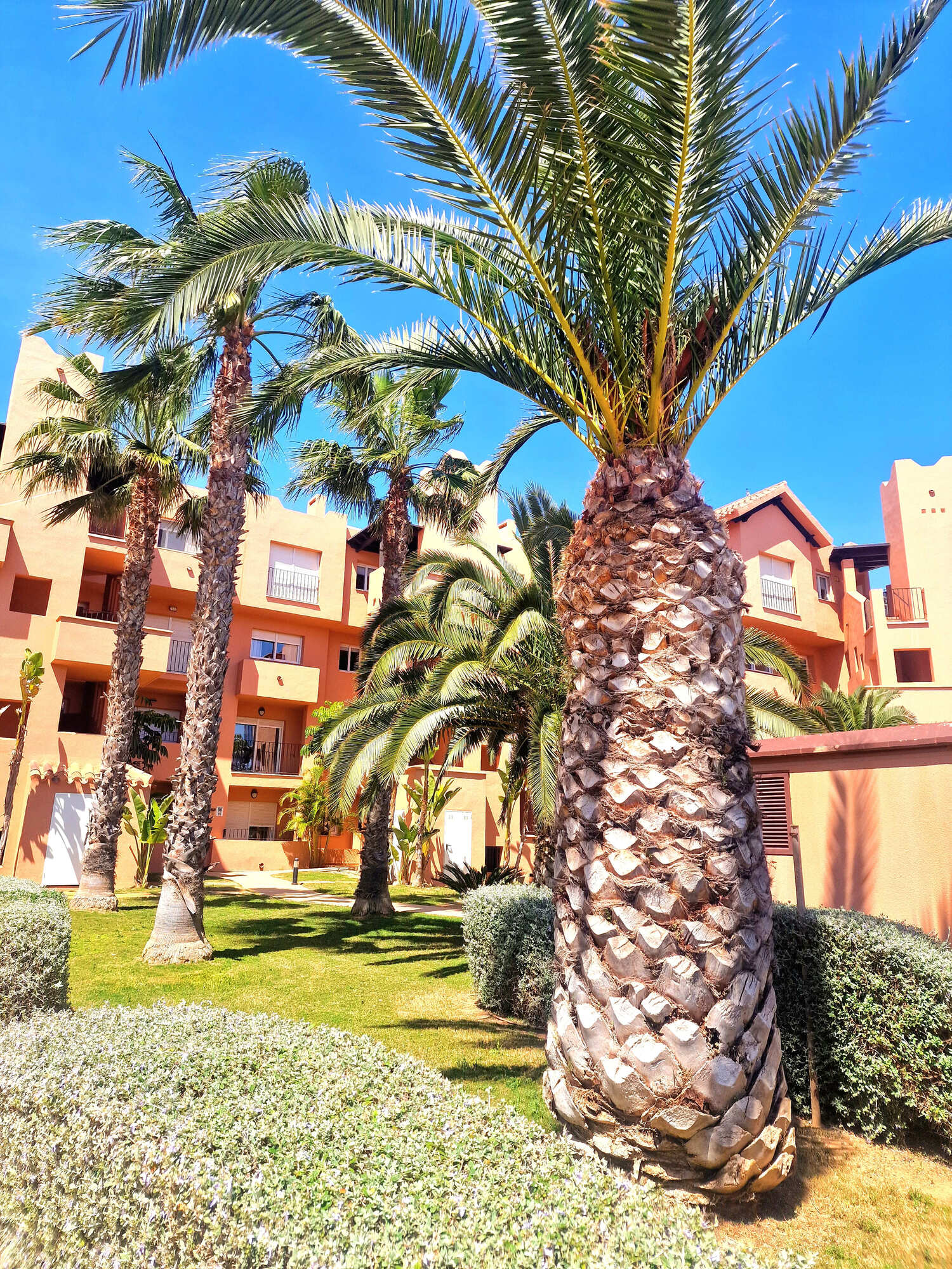 Vue du complexe Mar Menor